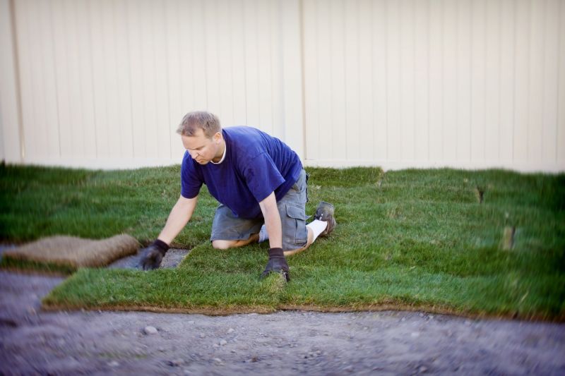 Turf Repair