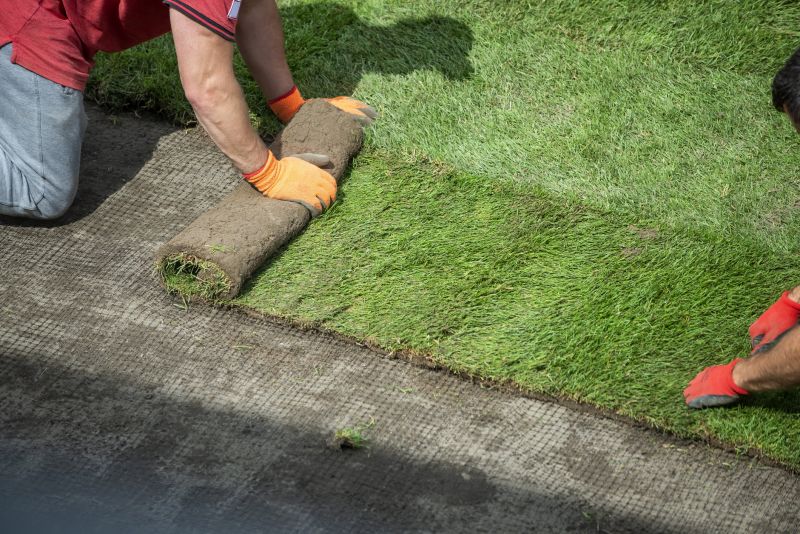 Turf Repair