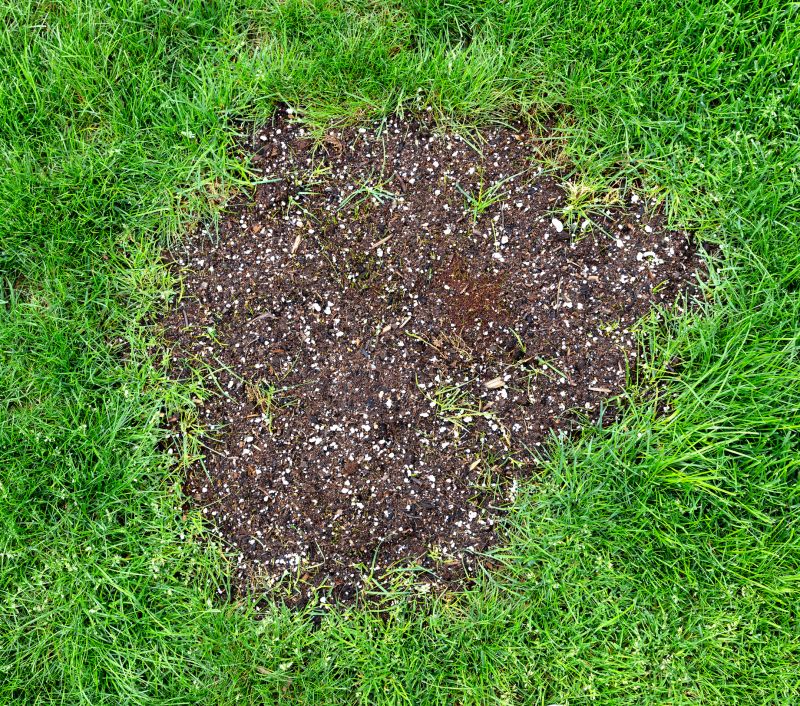 Turf Repair