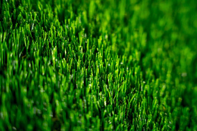 Prevention of Weed Growth